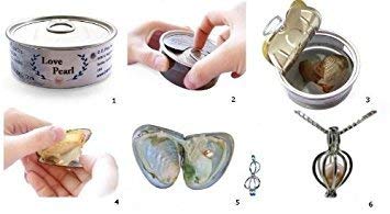 317xabAVjrL Love Pearl Necklace Gift Set